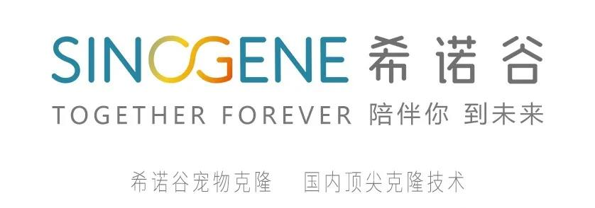 【首发】希诺谷再获数千万元B1轮投资，顺祺基金领投、希诺恒通跟投